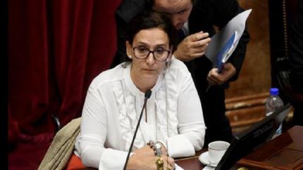 aborto: la mirada ahora esta puesta en los senadores indecisos