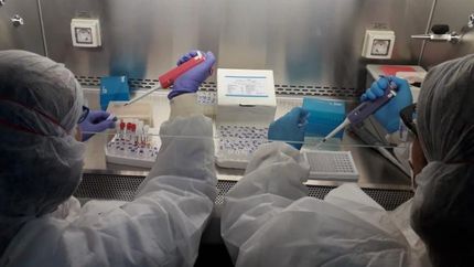 Se realizaron en las últimas 24 horas 82.575 testeos.