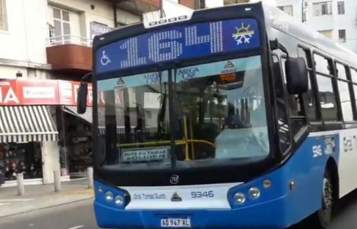 Choferes no descartan realizar medidas de fuerza.