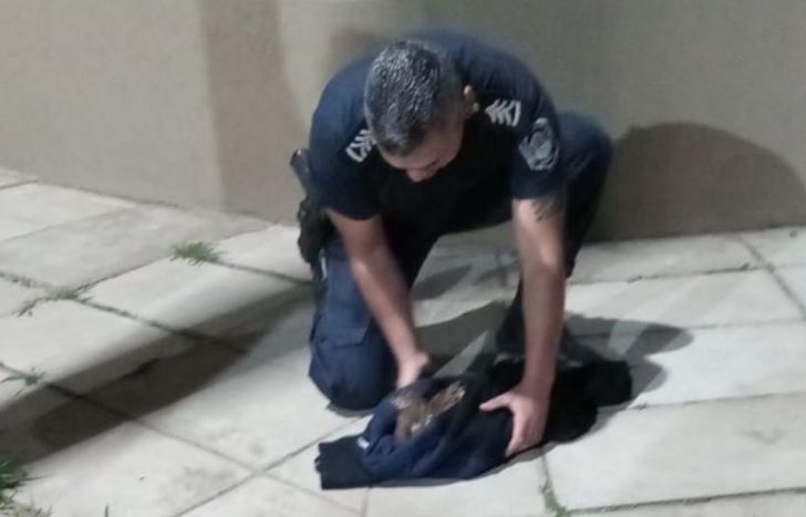 El ave no estaba en condiciones de volar y necesitaba ayuda.