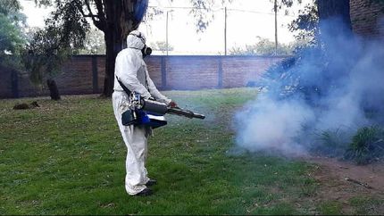 suman tecnologia para combatir al dengue en lomas