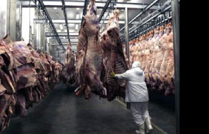 carnes