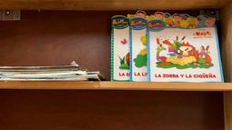 Necesitan más libros de cuentos y un mueble para que queden disponibles en el área de pediatría.