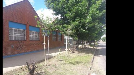 Las nuevas especies que se colocaron frente al Jardín N°937.