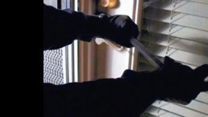 los ladrones forzaron la puerta de entrada.