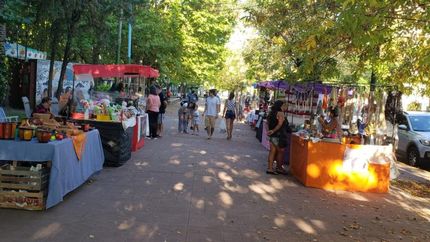 Todas las actividades este domingo de 16 a 20 en Suipacha y Zapiola.