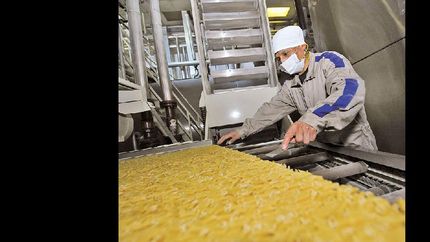 en 2019, hubo perdidas millonarias para las empresas de alimentos