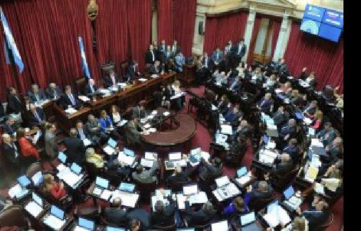 senado