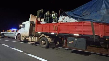 Los gendarmes revisan uno de los camiones.