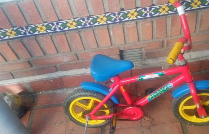 Van a estar juntando alimentos y juguetes.