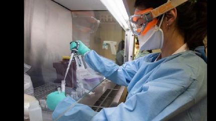 Nuevos test dieron positivo.