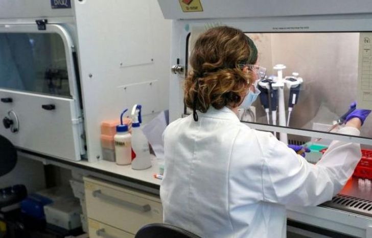 En las últimas 24 horas fueron realizados 31.568 testeos.