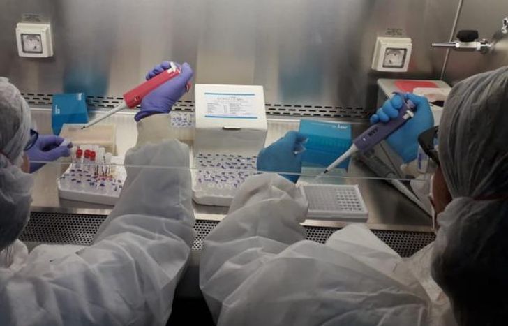 Se realizaron en las últimas 24 horas 82.575 testeos.