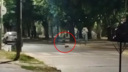 El ataque quedó filmado.