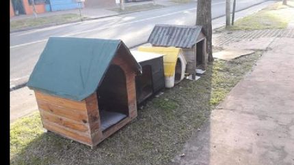 un vecino autorizó a Eliana a poner las cuchas en la puerta de su casa. un vecino autorizó a Eliana a poner las cuchas en la puerta de su casa.