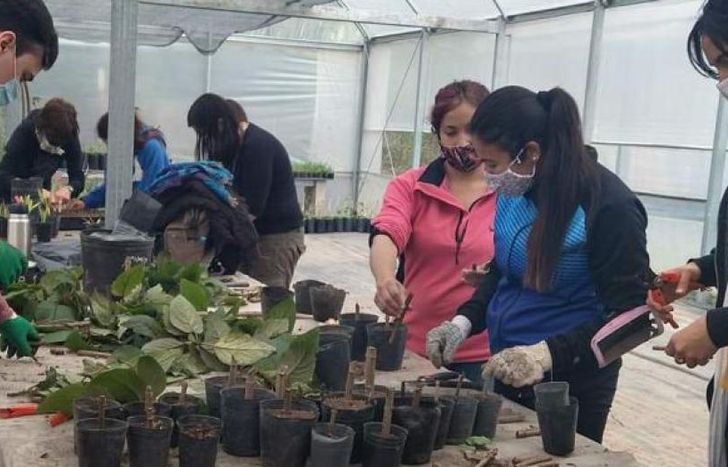 Hay un abanico de opciones.