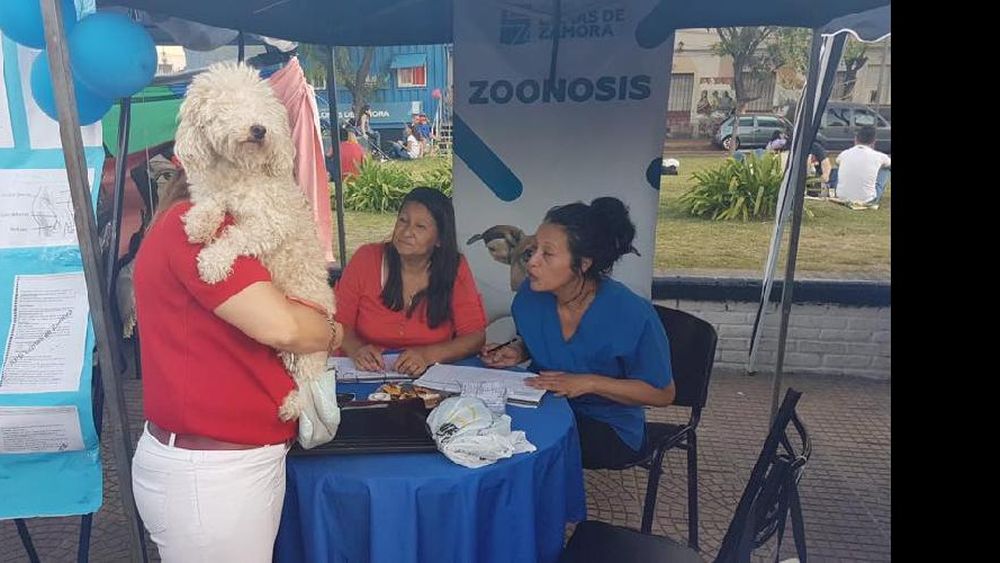 se vacunan decenas de mascotas en cada jornada.