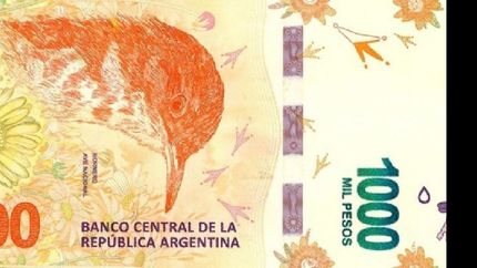 alertan sobre billetes de $1.000 truchos