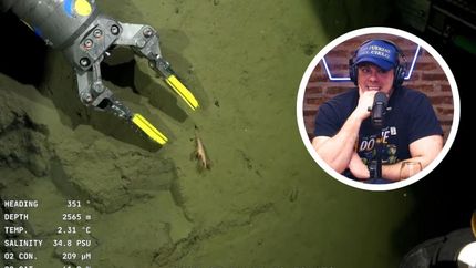 El Gordo Dan se burló del CONICET, pero terminó haciendo un papelón.