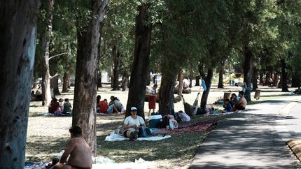 El festejo será en el Parque de Albertina.