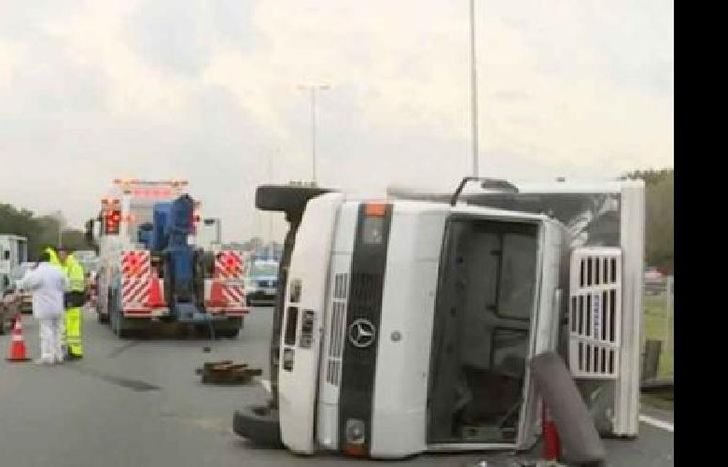 sucedió esta mañana.