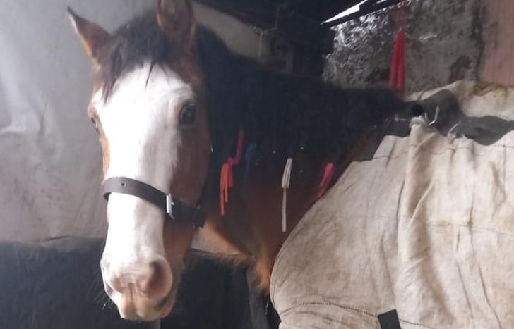 Ángeles será operada en las próximas semanas.