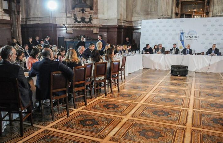 Se complica el tratamiento de la Ley Bases de Javier Milei en el Senado.