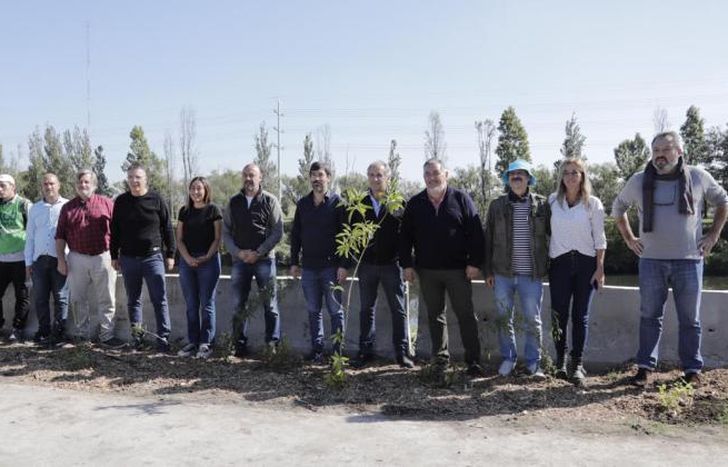 Plantaron más 300 árboles nativos para crear un corredor multiespecie.