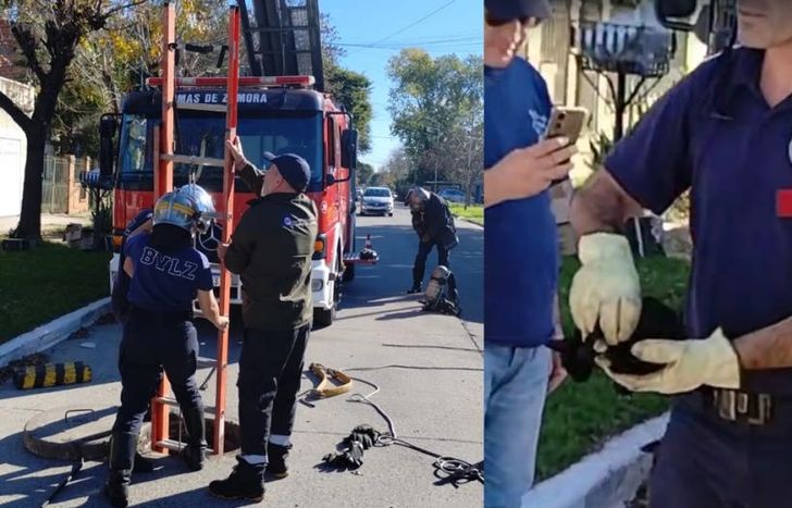 El rescate quedó filmado.