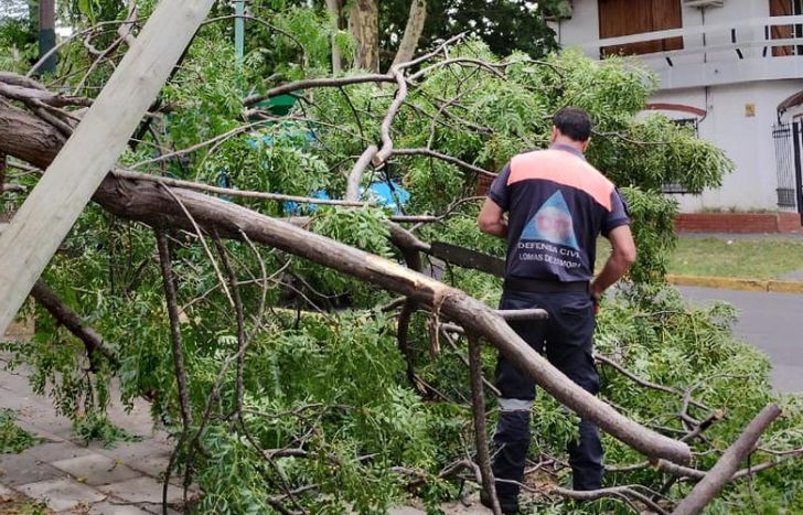 Defensa Civil de Lomas intervino en el lugar.
