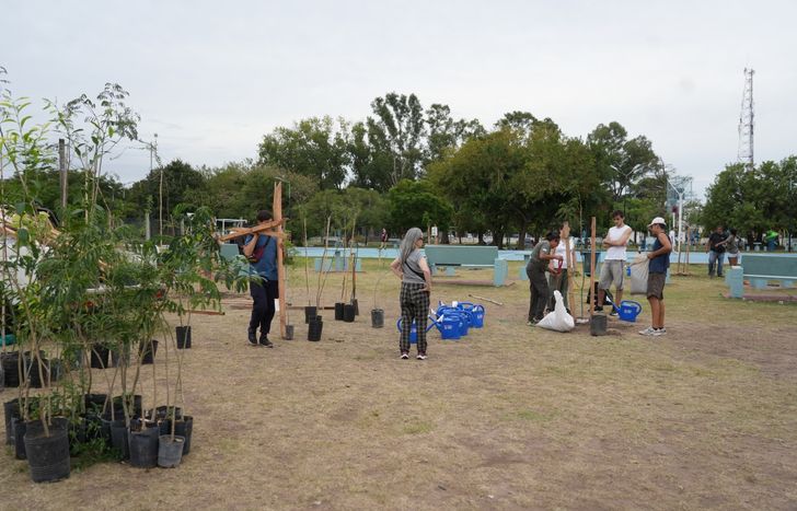 Avanza el plan de forestación urbana en Lomas.
