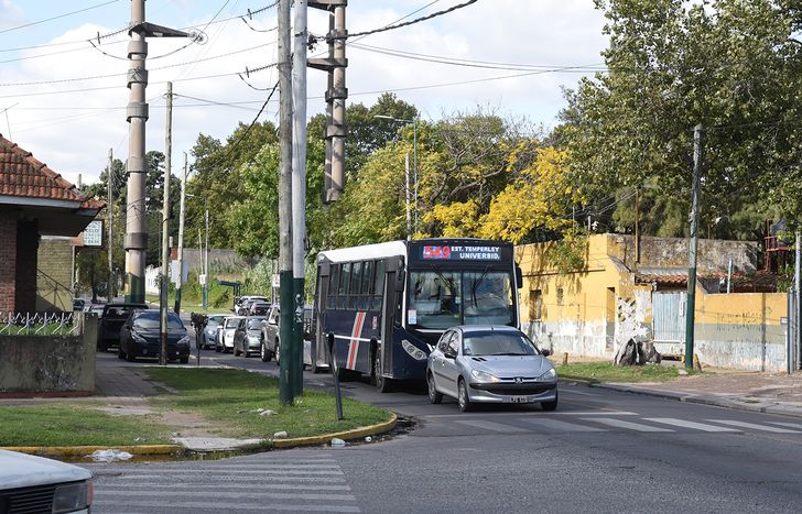 ¿Habrá paro de colectivos este viernes?