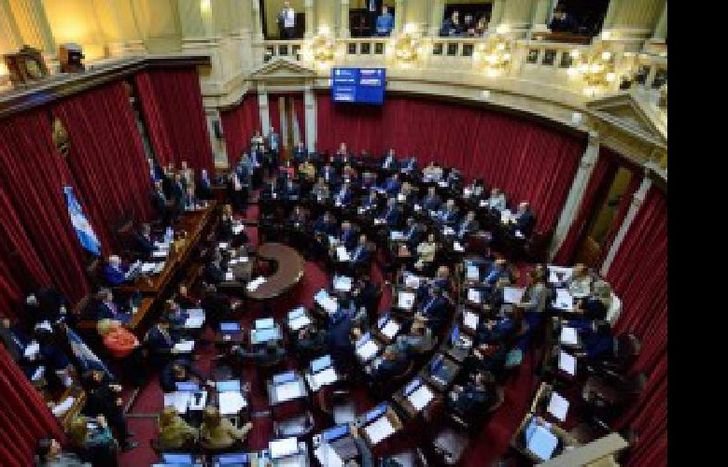 senado
