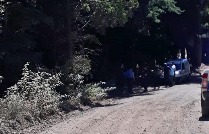 El vecino de Temperley fue hallado sin vida bajo los pinos.