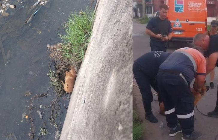 El operativo quedó filmado.