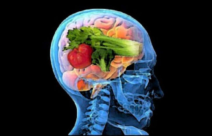 cerebro nutrientes