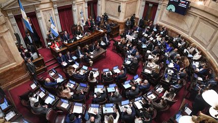 el senado volteo los vetos de emergencia en pediatria y financiamiento universitario