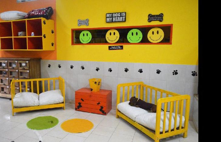 Más comodidades para los seres de cuatro patas.