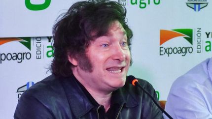 Javier Milei avisó que negociará con el FMI un nuevo crédito.