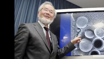 Un japonés obtuvo el Premio Nobel de Medicina 2016