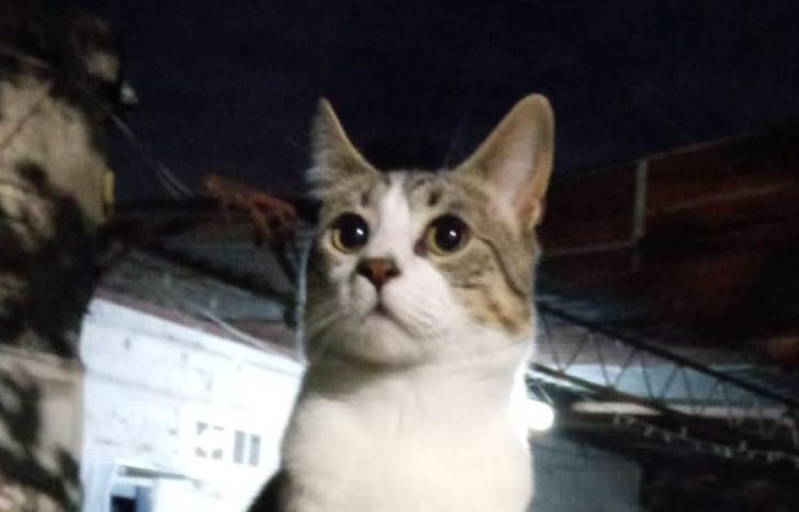 Tiene un año y desapareció hace dos semanas.