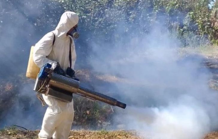 Los fumigadores, en plena acción.