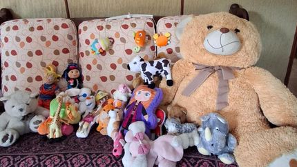 Los peluches deben ser nuevos o estar en muy buen estado.