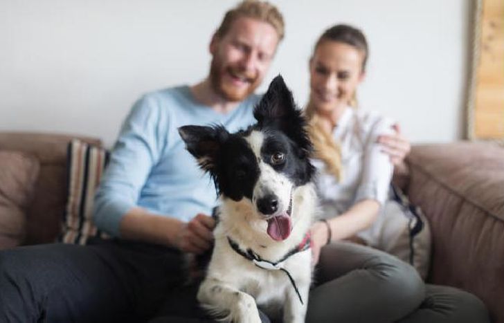 Una recomendación es sacarlo siempre en el mismo horario.