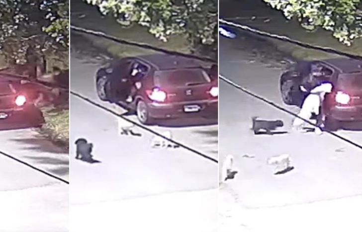 El indignante acto de crueldad contra los cachorros quedó filmado.