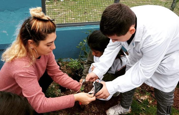 Arman plantines y jardines de biodiversidad.
