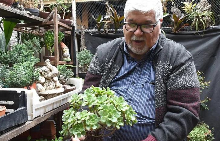 Héctor se dedica al cultivo de bonsái hace ya medio siglo.