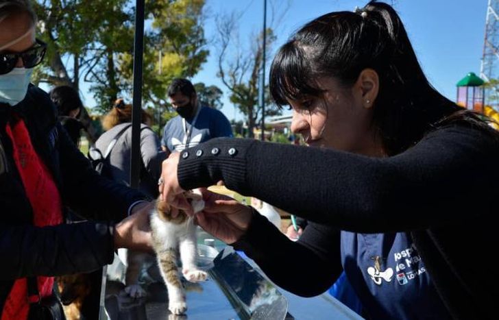 Zoonosis sigue llegando a los distintos barrios.