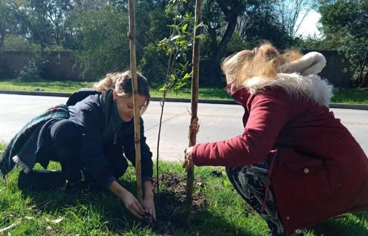 Plantaron 50 árboles nativos en el Parque de Llavallol.