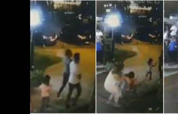 estaban recorriendo el centro cuando cayó el pino encima de la familia.